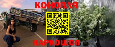 ГАЛЛЮЦИНОГЕННЫЕ ГРИБЫ Канаш