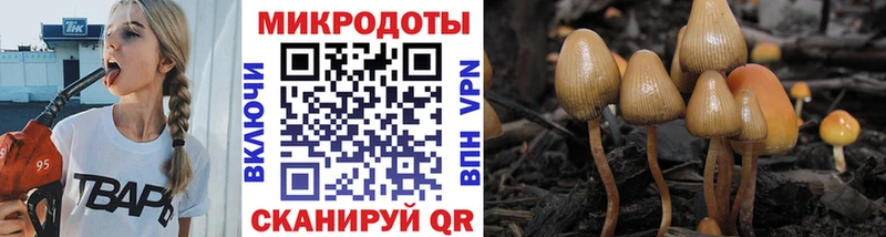 mega ссылка  где можно купить   Чайковский  Псилоцибиновые грибы мицелий 
