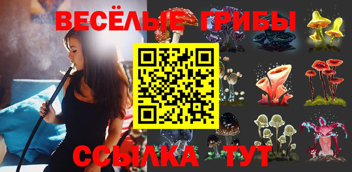 Галлюциногенные грибы Psilocybine cubensis Чайковский