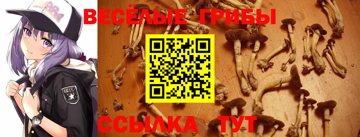 Галлюциногенные грибы MAGIC MUSHROOMS  Чайковский 