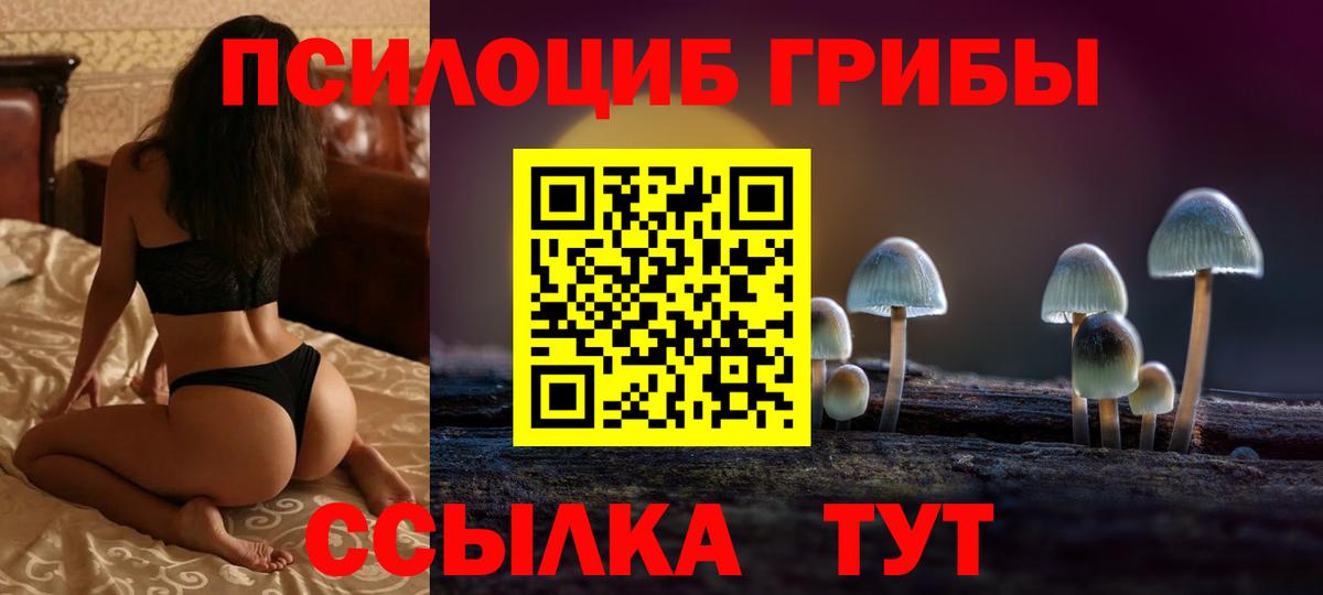 Галлюциногенные грибы MAGIC MUSHROOMS  Вход с VPN  Чайковский  Псилоцибиновые грибы ЛСД 