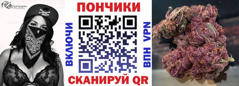 Шишки марихуана планчик  Чайковский 
